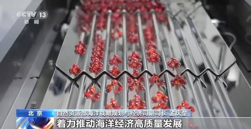  海洋经济总量再创新高；2025年我国海洋生产总值突破11万亿元；蓝色动能持续增强。 新闻 海洋经济总量再创新高；2025年我国海洋生产总值突破11万亿元；蓝色动能持续增强。 新闻 海洋经济总量再创新高；2025年我国海洋生产总值突破11万亿元；蓝色动能持续增强。 新闻 海洋经济总量再创新高；2025年我国海洋生产总值突破11万亿元；蓝色动能持续增强。 新闻