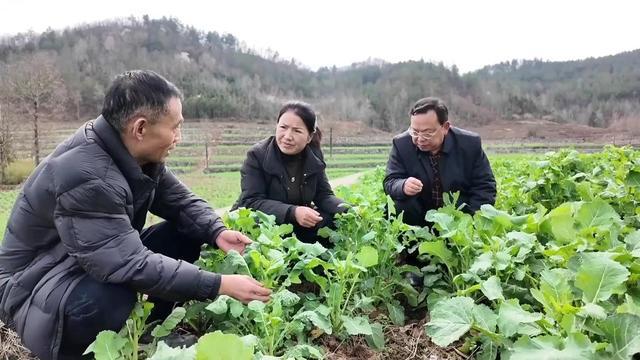 春回大地,生产就业双线发力;各地抢抓农时,绘就奋进新画卷。 新闻 春回大地,生产就业双线发力;各地抢抓农时,绘就奋进新画卷。 新闻 春回大地,生产就业双线发力;各地抢抓农时,绘就奋进新画卷。 新闻 春回大地,生产就业双线发力;各地抢抓农时,绘就奋进新画卷。 新闻