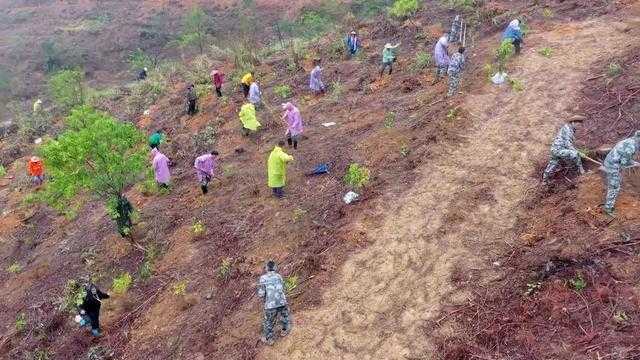 春回大地,生产就业双线发力;各地抢抓农时,绘就奋进新画卷。 新闻 春回大地,生产就业双线发力;各地抢抓农时,绘就奋进新画卷。 新闻 春回大地,生产就业双线发力;各地抢抓农时,绘就奋进新画卷。 新闻 春回大地,生产就业双线发力;各地抢抓农时,绘就奋进新画卷。 新闻