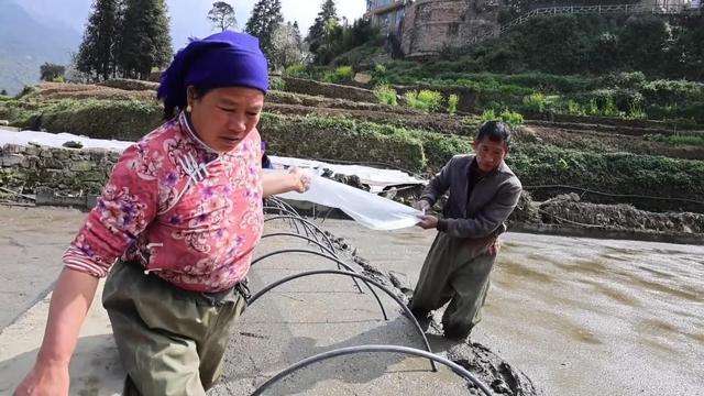 春回大地,生产就业双线发力;各地抢抓农时,绘就奋进新画卷。 新闻 春回大地,生产就业双线发力;各地抢抓农时,绘就奋进新画卷。 新闻 春回大地,生产就业双线发力;各地抢抓农时,绘就奋进新画卷。 新闻 春回大地,生产就业双线发力;各地抢抓农时,绘就奋进新画卷。 新闻