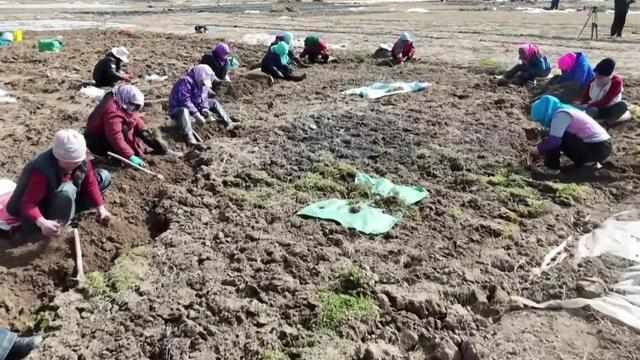 春回大地,生产就业双线发力;各地抢抓农时,绘就奋进新画卷。 新闻 春回大地,生产就业双线发力;各地抢抓农时,绘就奋进新画卷。 新闻 春回大地,生产就业双线发力;各地抢抓农时,绘就奋进新画卷。 新闻 春回大地,生产就业双线发力;各地抢抓农时,绘就奋进新画卷。 新闻
