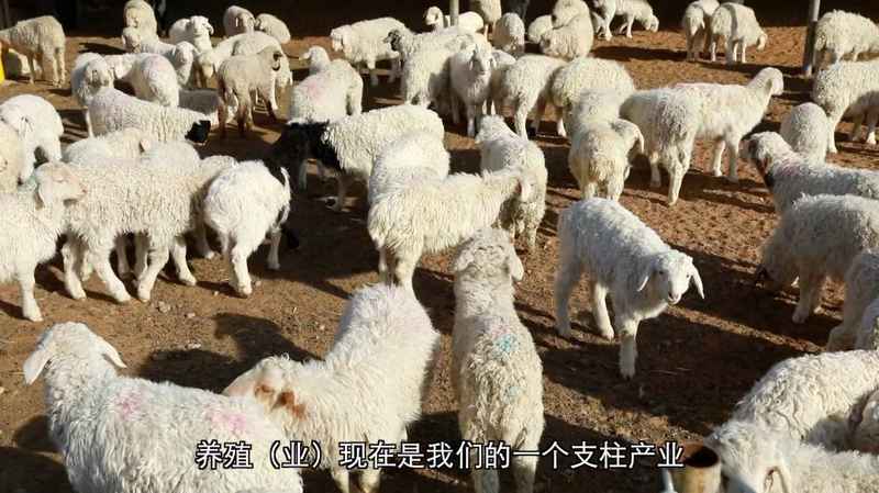 基层干部深耕乡土,调解矛盾促和谐;产业兴旺暖民心,和美乡村渐成形。 文化旅游 基层干部深耕乡土,调解矛盾促和谐;产业兴旺暖民心,和美乡村渐成形。 文化旅游