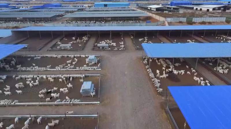 基层干部深耕乡土,调解矛盾促和谐;产业兴旺暖民心,和美乡村渐成形。 文化旅游 基层干部深耕乡土,调解矛盾促和谐;产业兴旺暖民心,和美乡村渐成形。 文化旅游