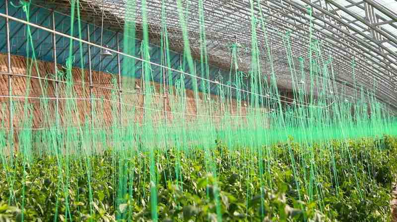 基层干部深耕乡土,调解矛盾促和谐;产业兴旺暖民心,和美乡村渐成形。 文化旅游 基层干部深耕乡土,调解矛盾促和谐;产业兴旺暖民心,和美乡村渐成形。 文化旅游