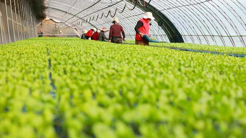基层干部深耕乡土,调解矛盾促和谐;产业兴旺暖民心,和美乡村渐成形。 文化旅游 基层干部深耕乡土,调解矛盾促和谐;产业兴旺暖民心,和美乡村渐成形。 文化旅游