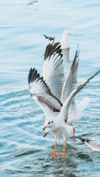 文化强国建设，事关中国式现代化全局；文化繁荣兴盛，推动民族复兴伟业。