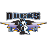  CBA战术复盘：北京队胜局背后的防守逻辑与心态建设 体育新闻