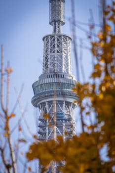 日元汇率保卫战，只靠干预石油市场就能赢吗？深度拆解非常规政策背后的博弈逻辑