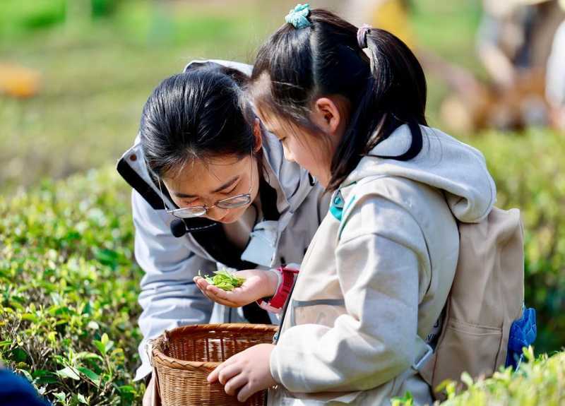亲子成长焦虑:沉浸式研学带来的心理慰藉 情感心理