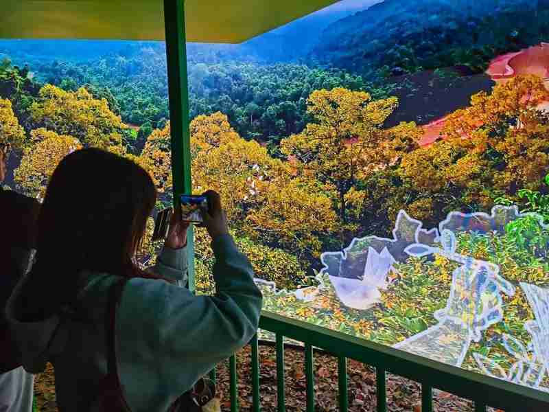 亲子成长焦虑:沉浸式研学带来的心理慰藉 情感心理