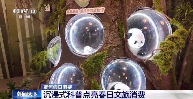  【技术解码】沉浸式科普如何重塑亲子文旅体验——从标本展示到交互装置的完整链路 文化旅游