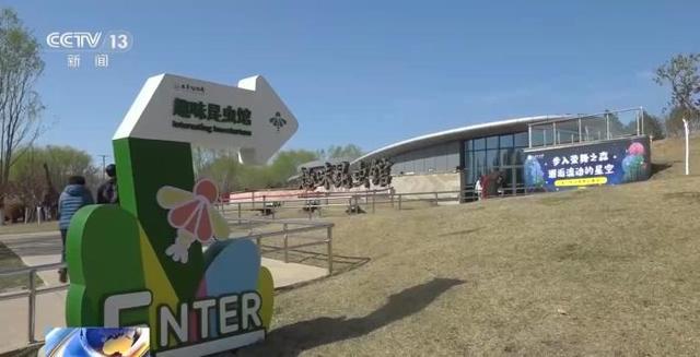  【技术解码】沉浸式科普如何重塑亲子文旅体验——从标本展示到交互装置的完整链路 文化旅游