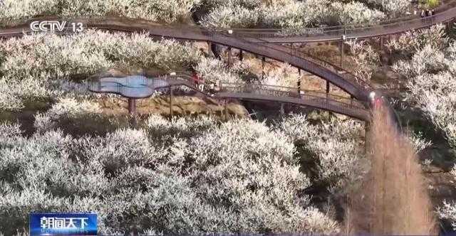  【技术解码】沉浸式科普如何重塑亲子文旅体验——从标本展示到交互装置的完整链路 文化旅游