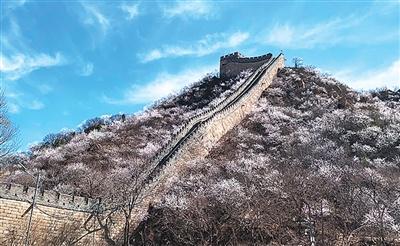 从规章到法规：长城保护进入智慧监管新时代 文化旅游