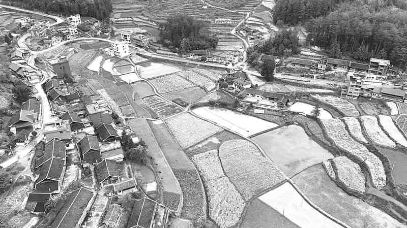 困牛山村：数字技术赋能红色文旅的深度实践 文化旅游