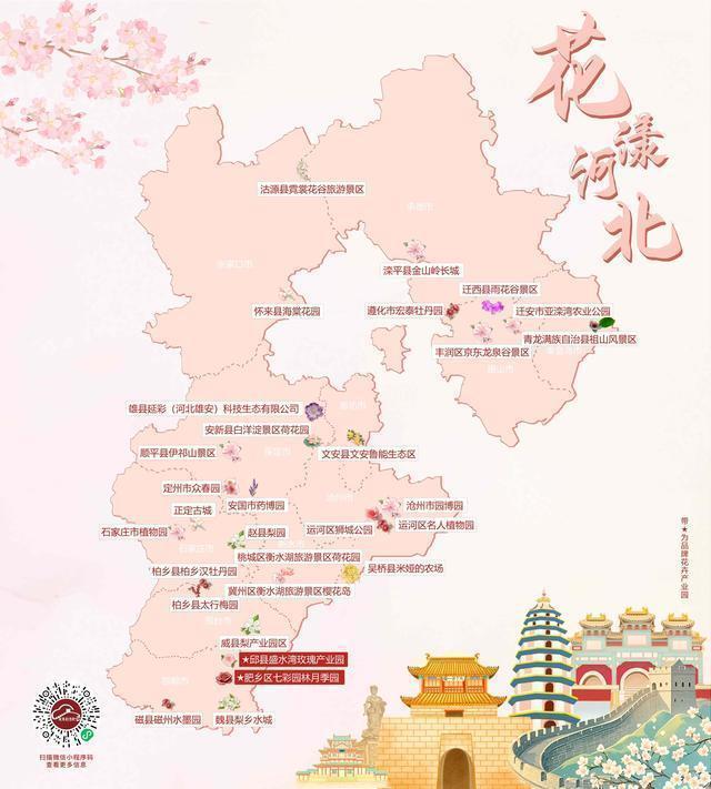  技术视角下的海棠经济：五大道花节数据拆解与文旅融合方法论 文化旅游