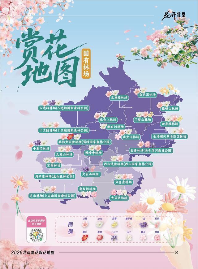  技术视角下的海棠经济：五大道花节数据拆解与文旅融合方法论 文化旅游