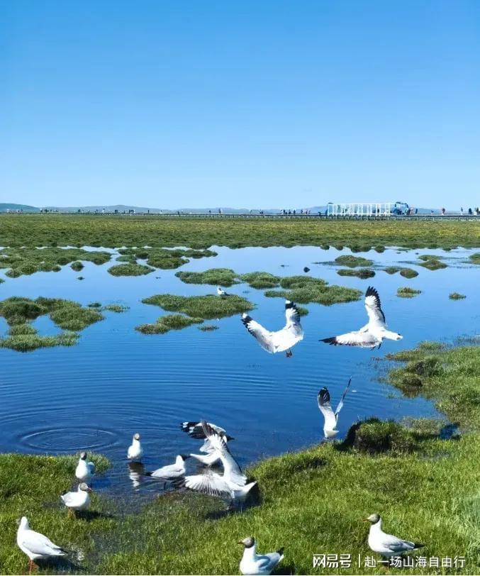  甘南7天6晚家庭游全流程复盘：行程设计与执行细节的完整拆解 文化旅游