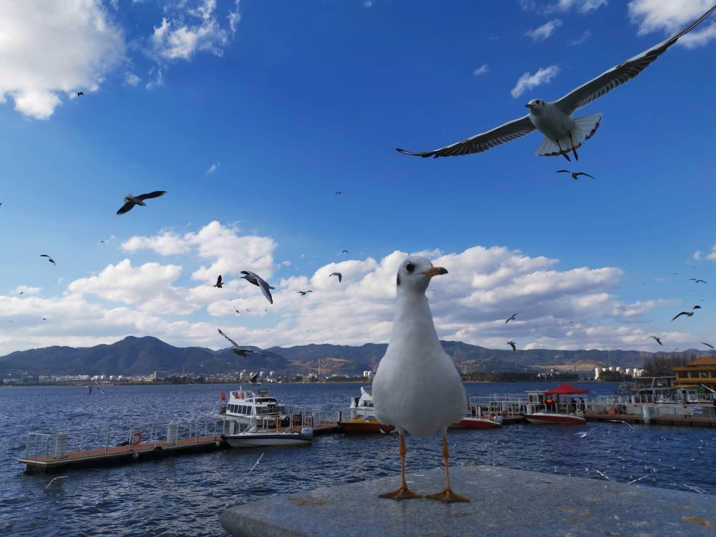  当本科文凭不再是通行证：那些选择"回炉"的年轻人，后来怎么样了 情感心理