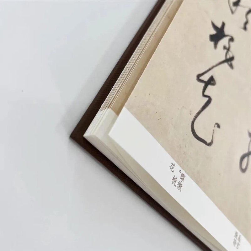 董其昌书法的技术解码:从笔法结构到生秀淡墨的美学体系 书画藏品