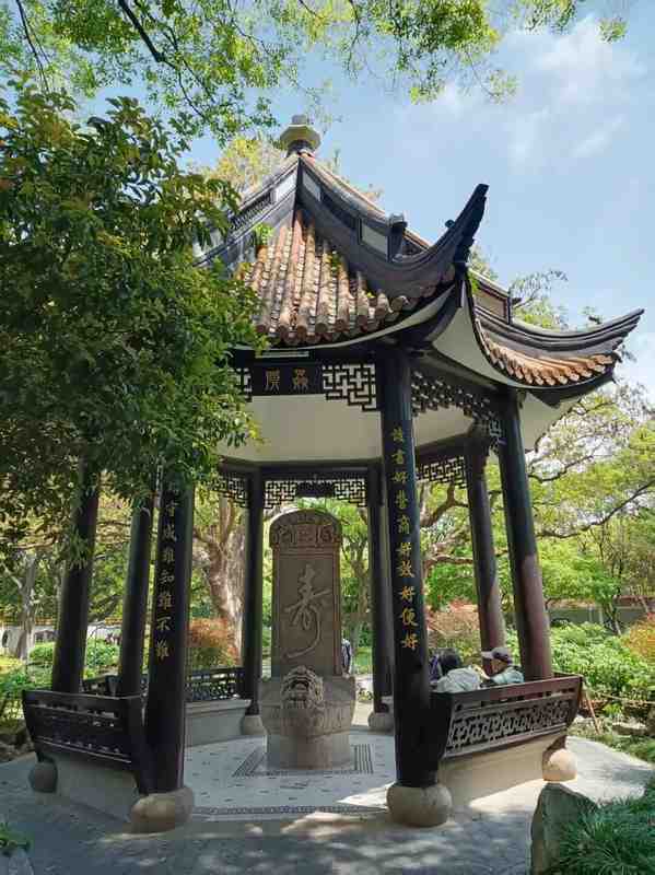 漕溪公园:百年古树与江南园林造景技艺的深度解析 文化旅游