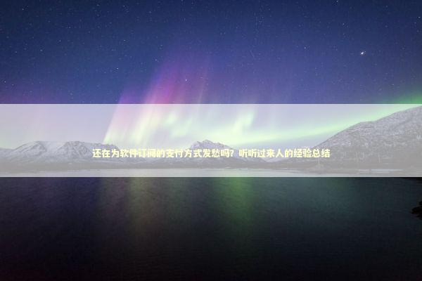 还在为软件订阅的支付方式发愁吗？听听过来人的经验总结 IT技术