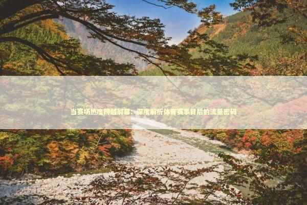 当赛场热度跨越屏幕：深度解析体育赛事背后的流量密码 体育新闻