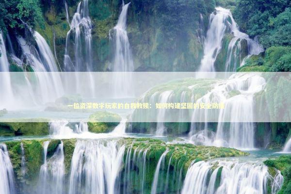 一位资深数字玩家的自我救赎：如何构建坚固的安全防线