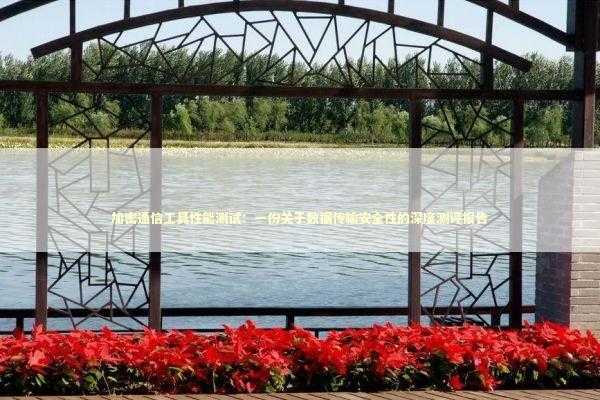 加密通信工具性能测试：一份关于数据传输安全性的深度测评报告 IT技术