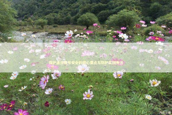 保护通讯账号安全的核心要点与防护实践方法 IT技术