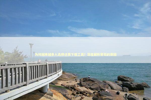 为何越来越多人选择这类下载工具？深度解析背后的原因 IT技术