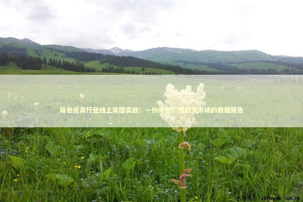 箱包皮具行业线上突围实战：一份来自广州批发市场的数据报告